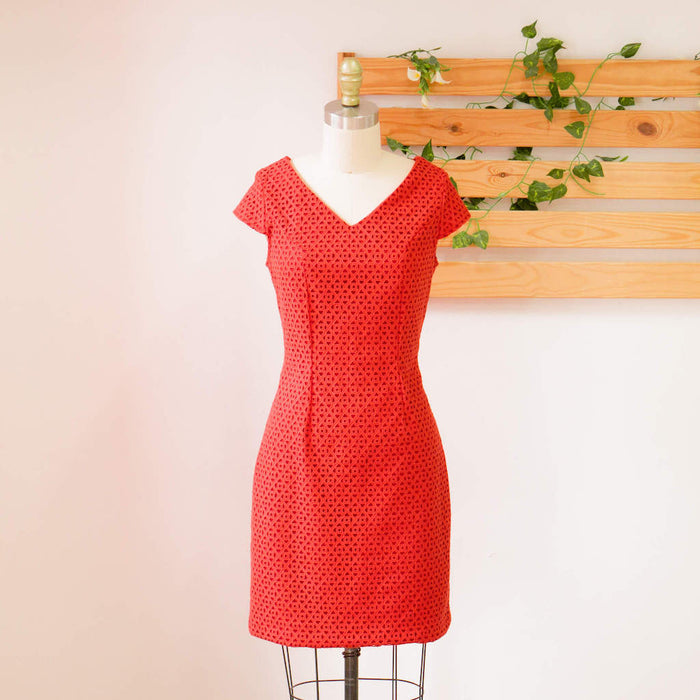 Fashion & Fabrics (Basic Dress with Lining)