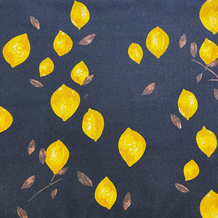 Fabric Options: Accessories Combi (Category N)